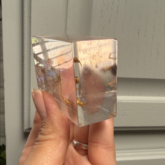 Scorpion Paperweight 🦂 - Picture 13 of 15